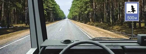 Вопрос 12: В каком месте на данном участке дороги Вам разрешено поставить автомобиль на длительную стоянку?